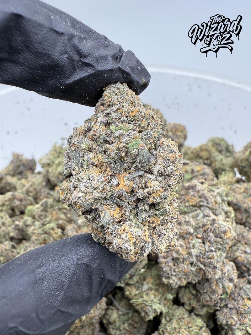 Wizard Trees Strain: Gas Gimlet