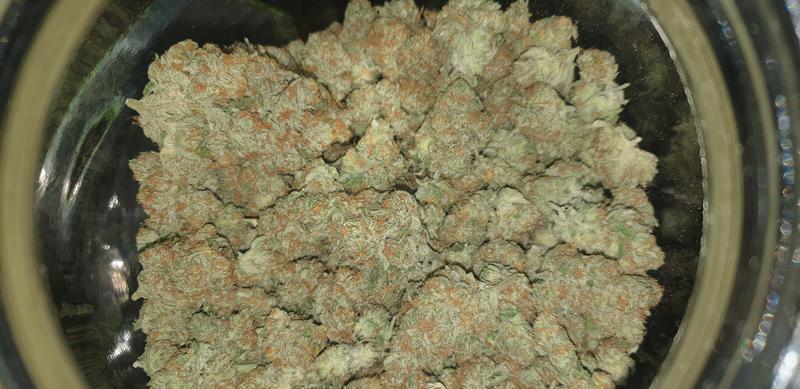 Blueberry Cheese - RozzyGrown