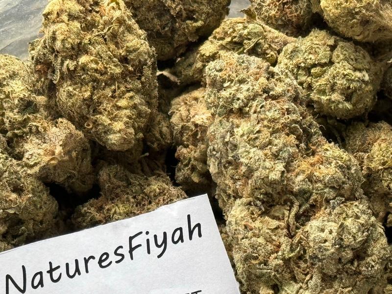 Mendo Breath Canadian Buds - WORLDWIDE SHIPING