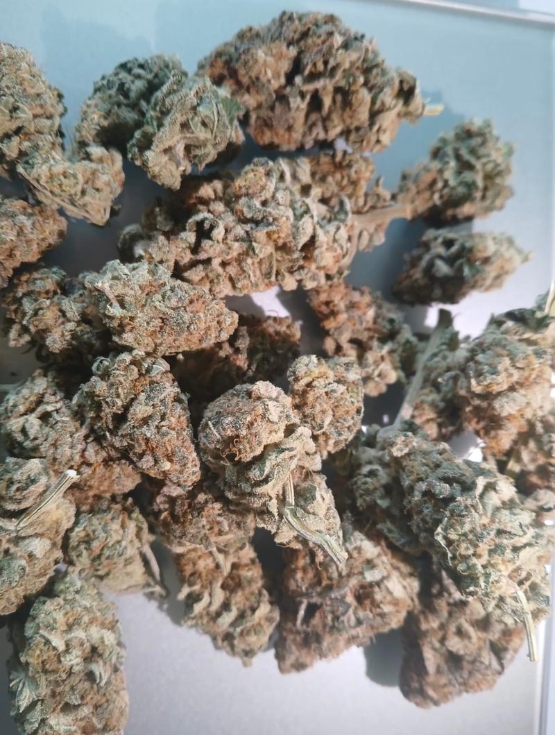 Tropicana Cookies
