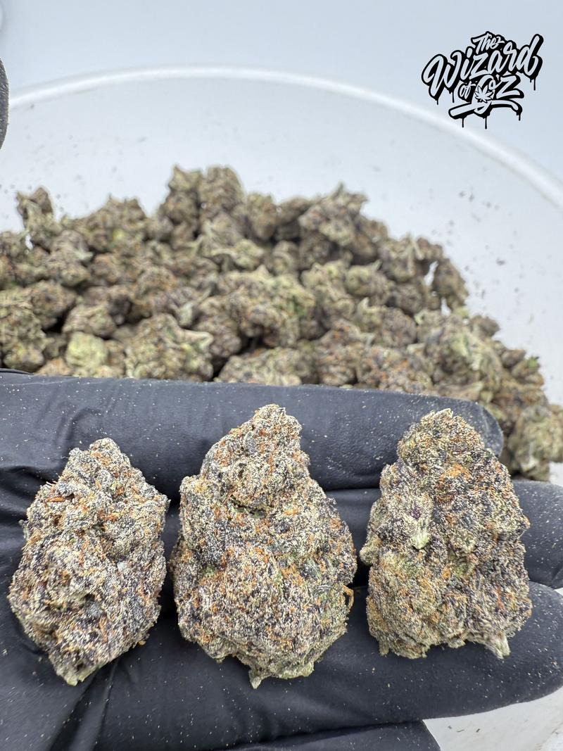 Jungle Boys Strain: Zudz