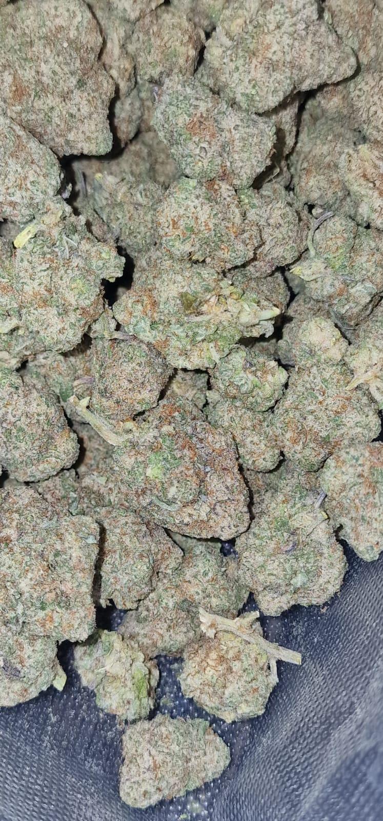 Permanent Marker - Indoor Grown Dense Terpy Buds