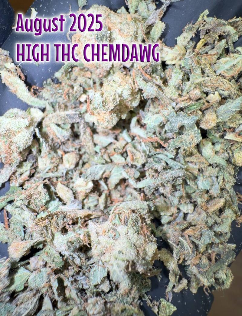 High Grade Skywalker OG Shake