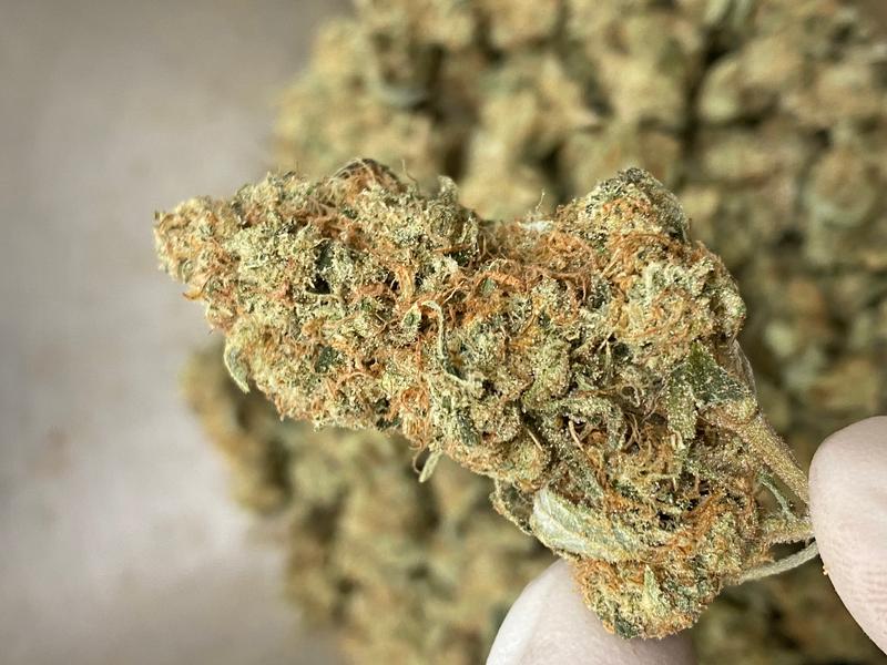 Dapper Grown Purple Punch - In House ⛽️ 🇬🇧 🔥