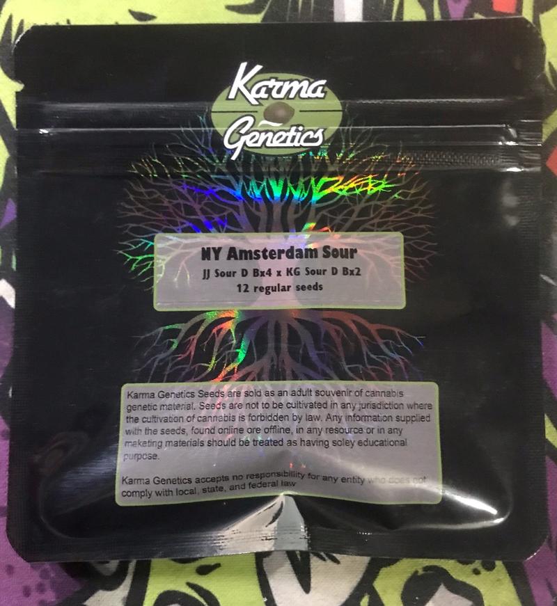 Karma Genetics