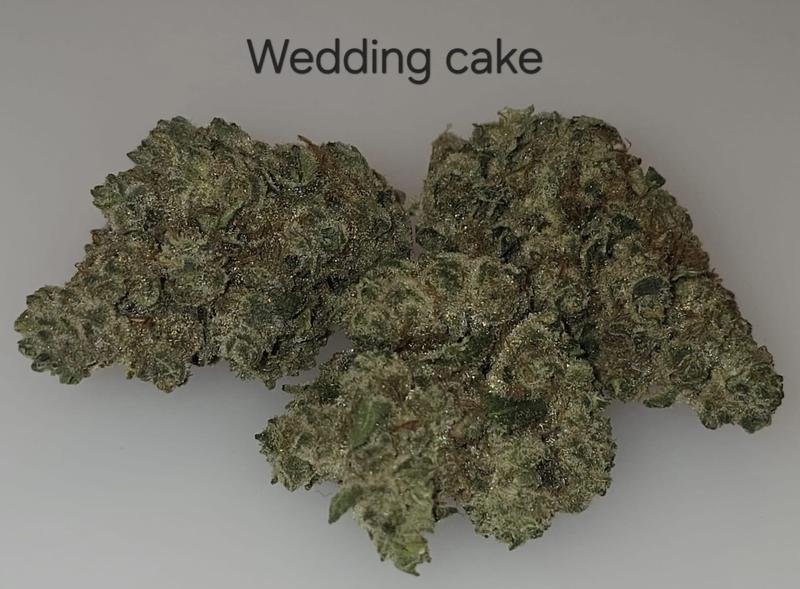 Make an oz for £160! ( Free T24 )