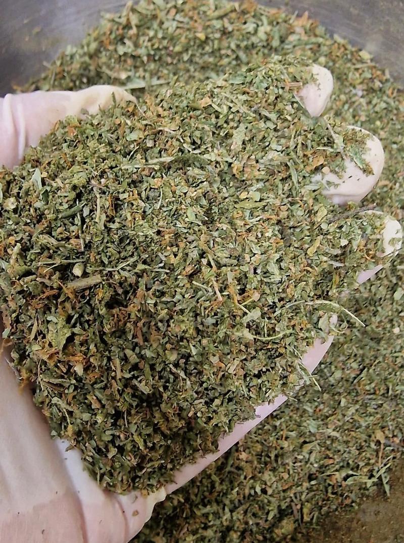 StarDawg Shake - Very Low Cost Trim