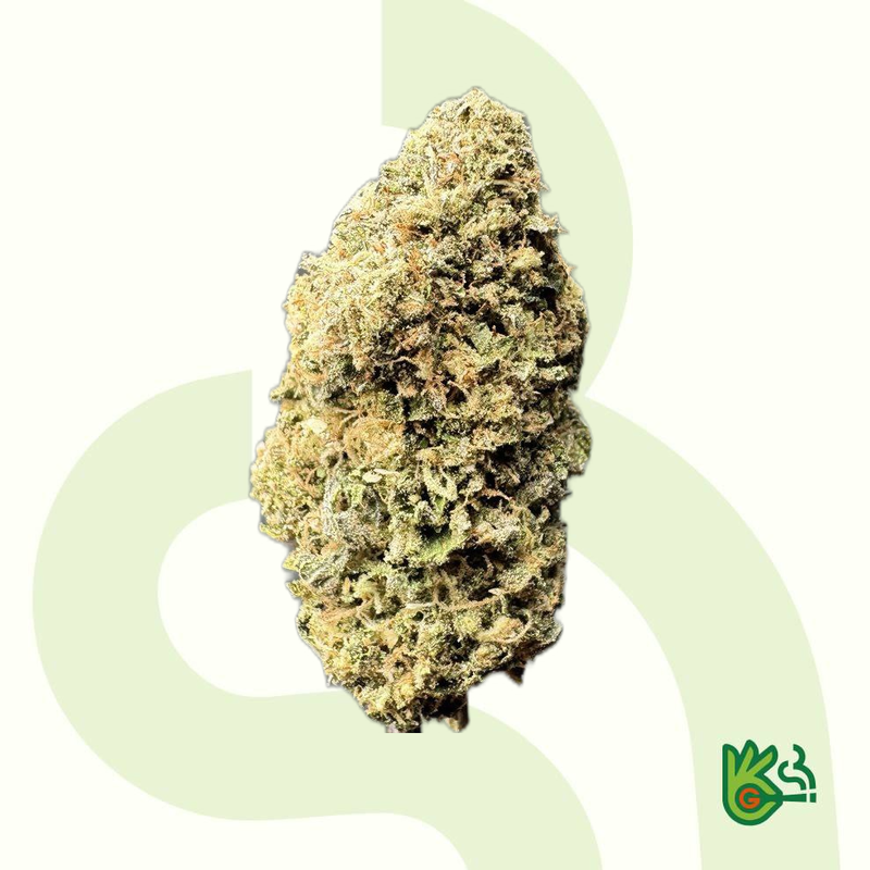 Purple Octane *Free Shipping*