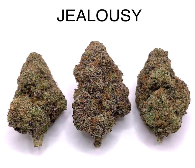JEALOUSY