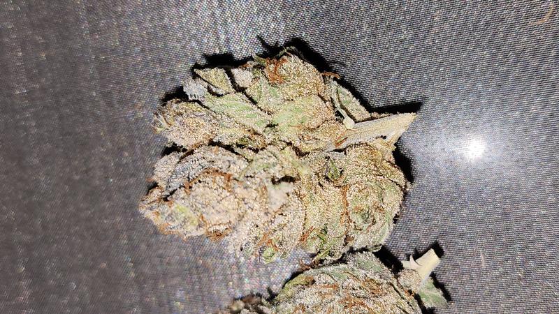 UK GROWN FLOWER