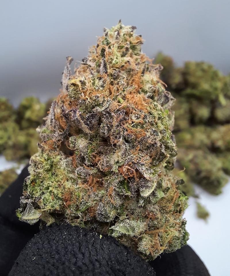 **SLURRICANE - (FREE RM 1ST CLASS DISPATCH)**