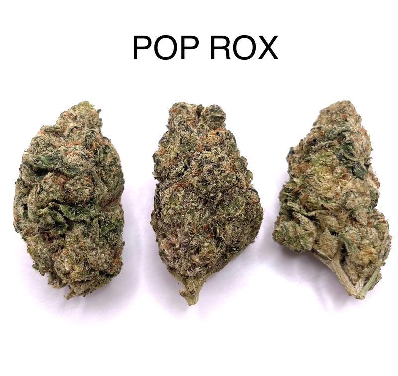 POP ROX