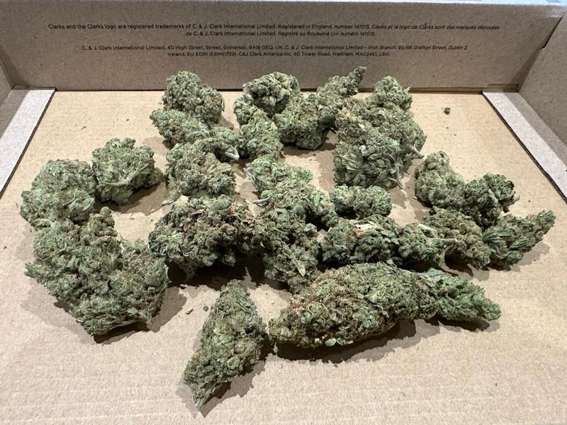 AMNESIA HAZE