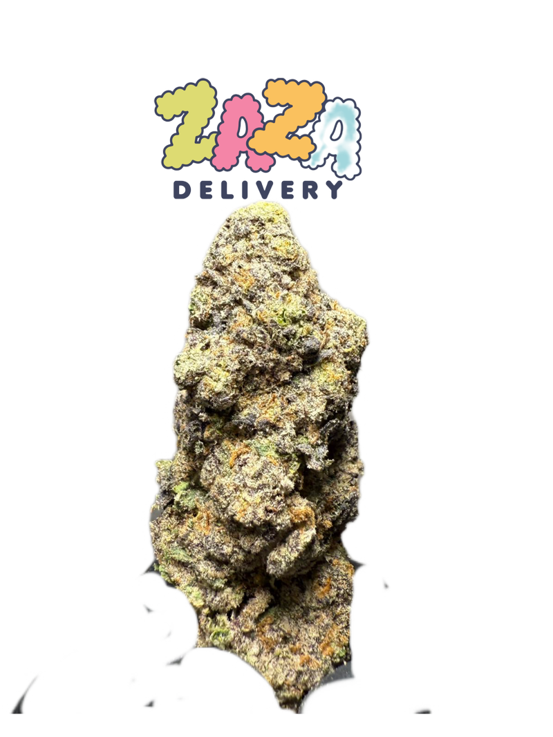 KING GELATO