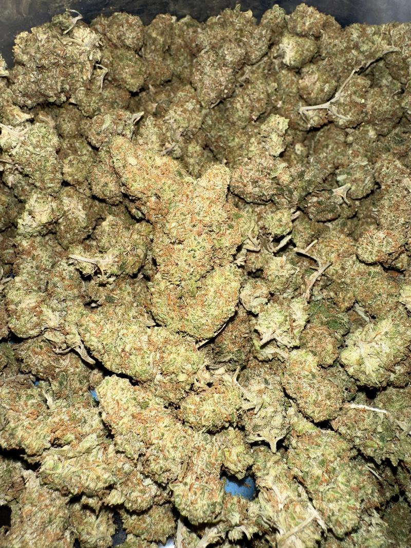 Super Silver Haze £120 oz FREE NEXT DAY DELIVERY