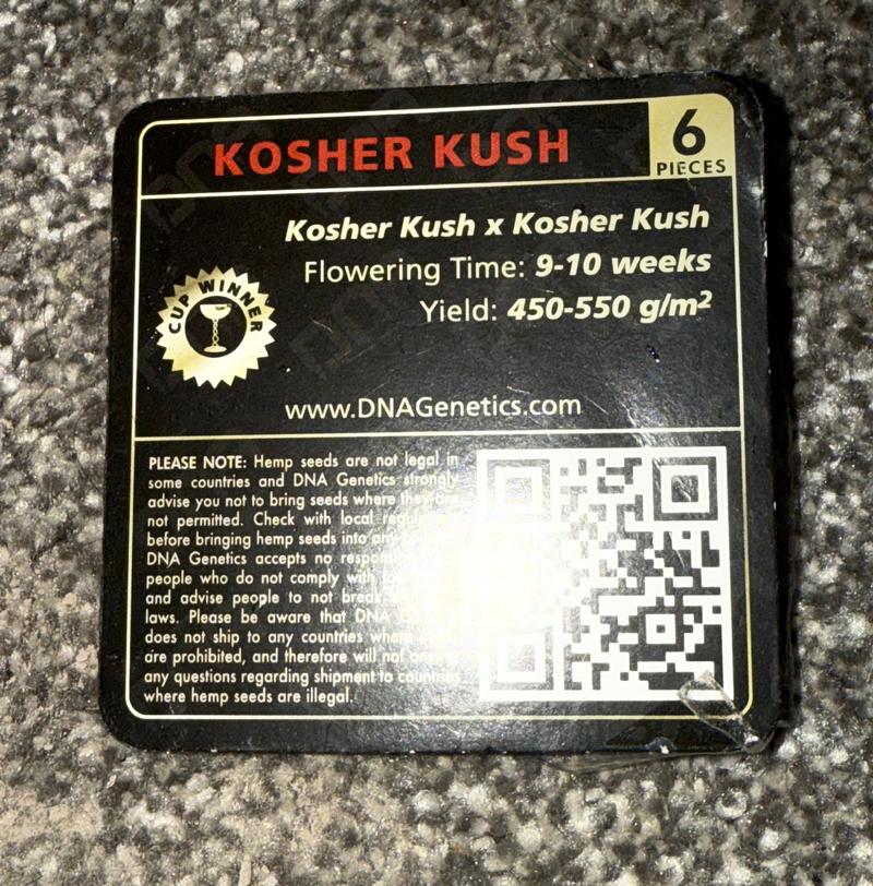 Kosher Kush Seeds By DNA Genetics