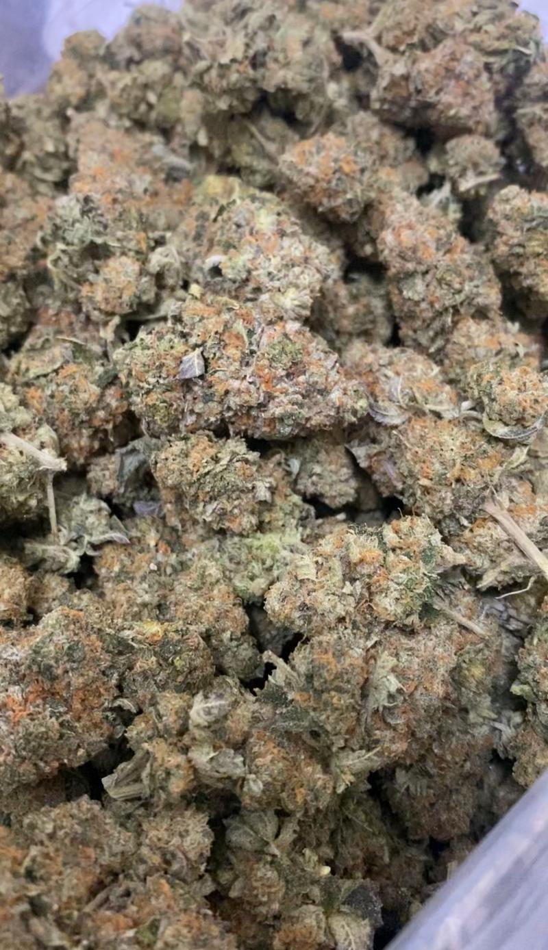 Biscoff Top Quality in House Grown ⛽️ 🔥