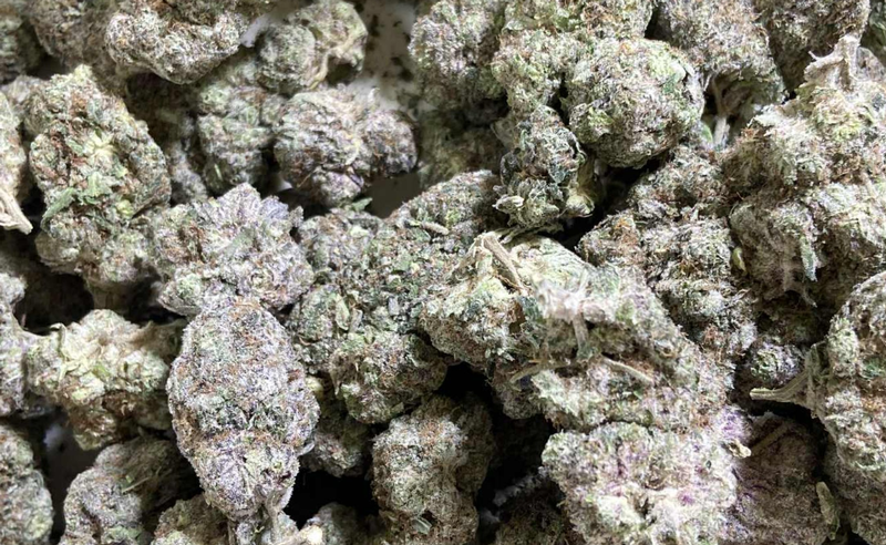 TOP SHELF CALI  (US Import)