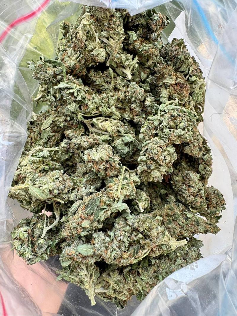 Budget Buds