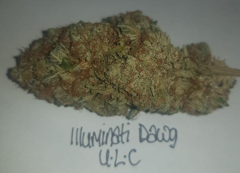 **ILLUMINATI DAWG - (FREE RM 1ST CLASS DELIVERY)**