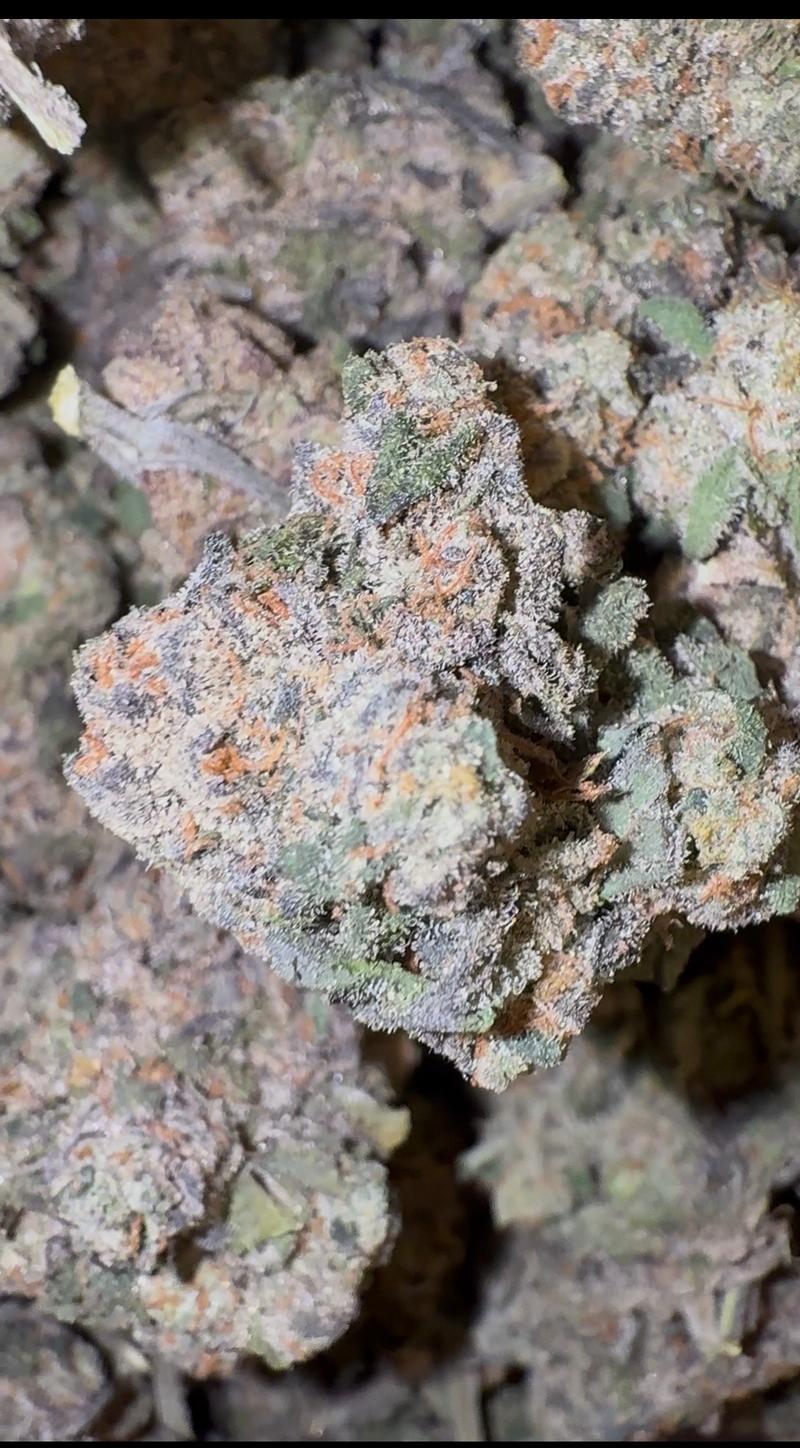 KLEEN FARMS GARY X ZOAP