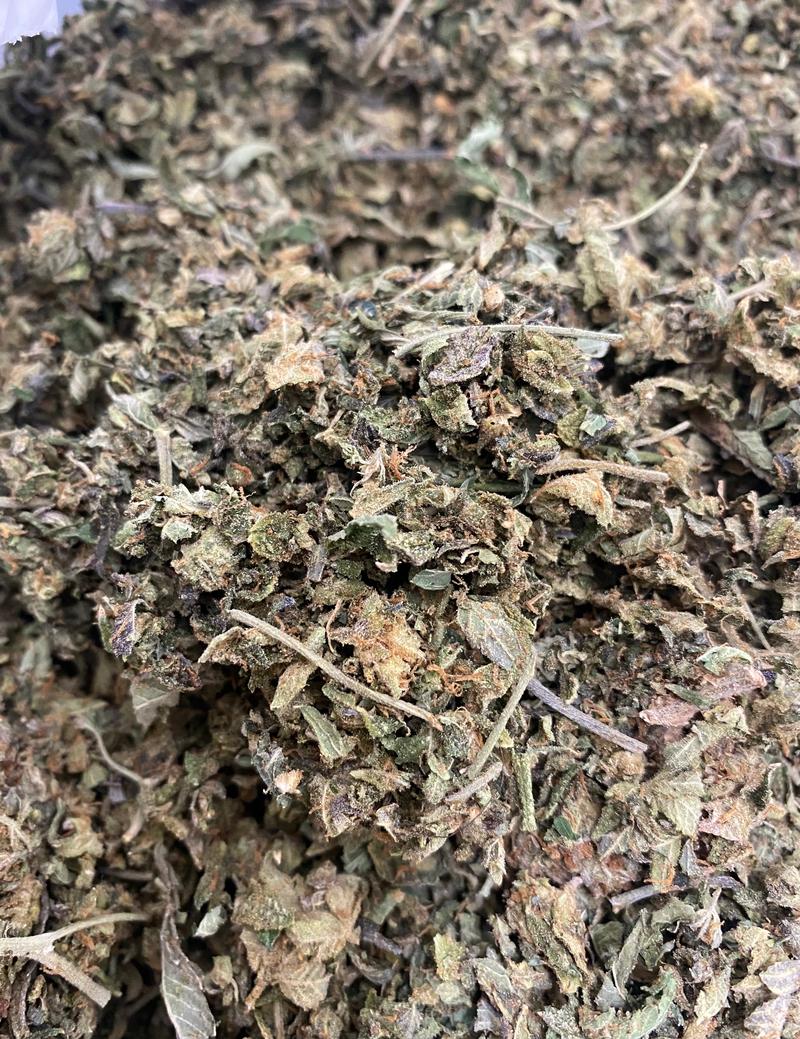 Pre Roll Quality Biscoff Shake - In House Gas