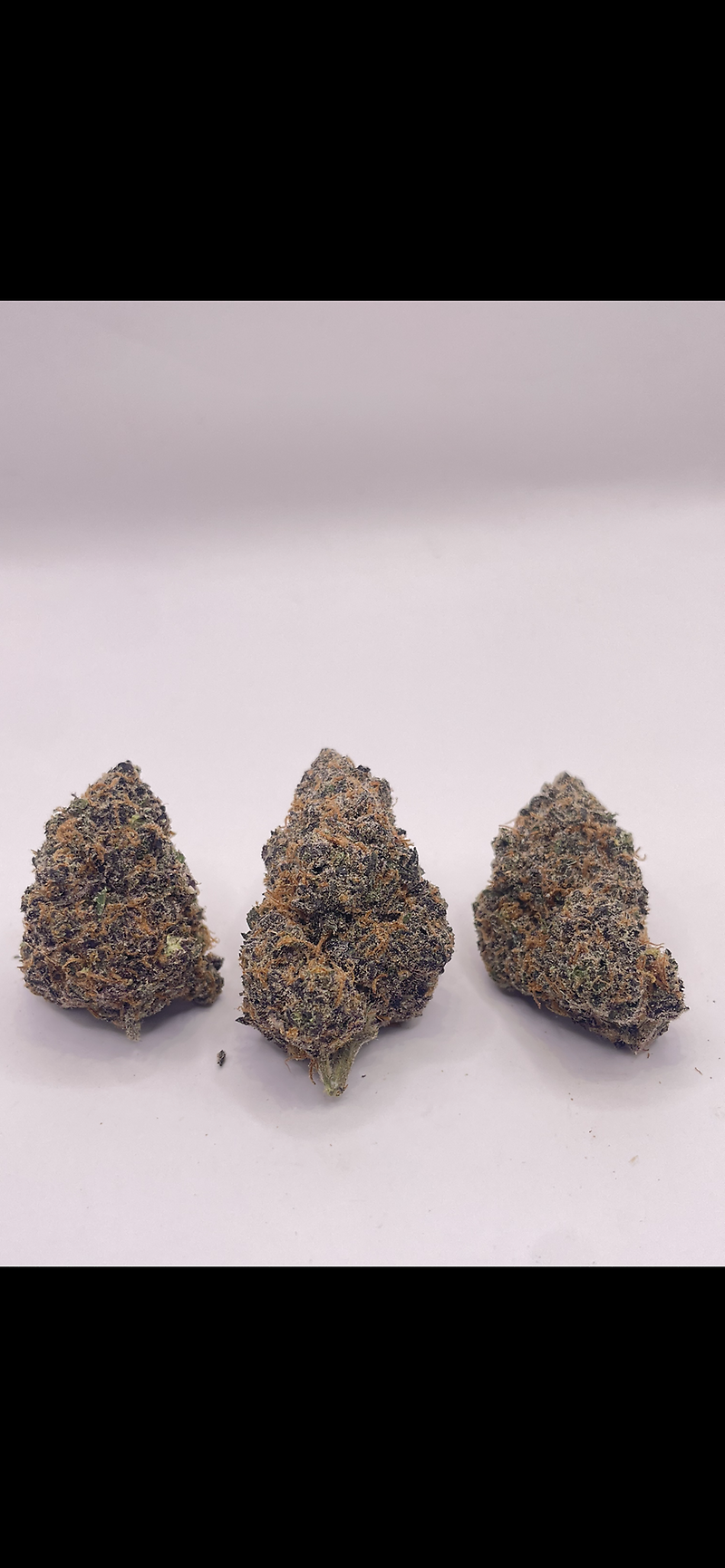 ICE CREAM MINTZ - EXOTICS