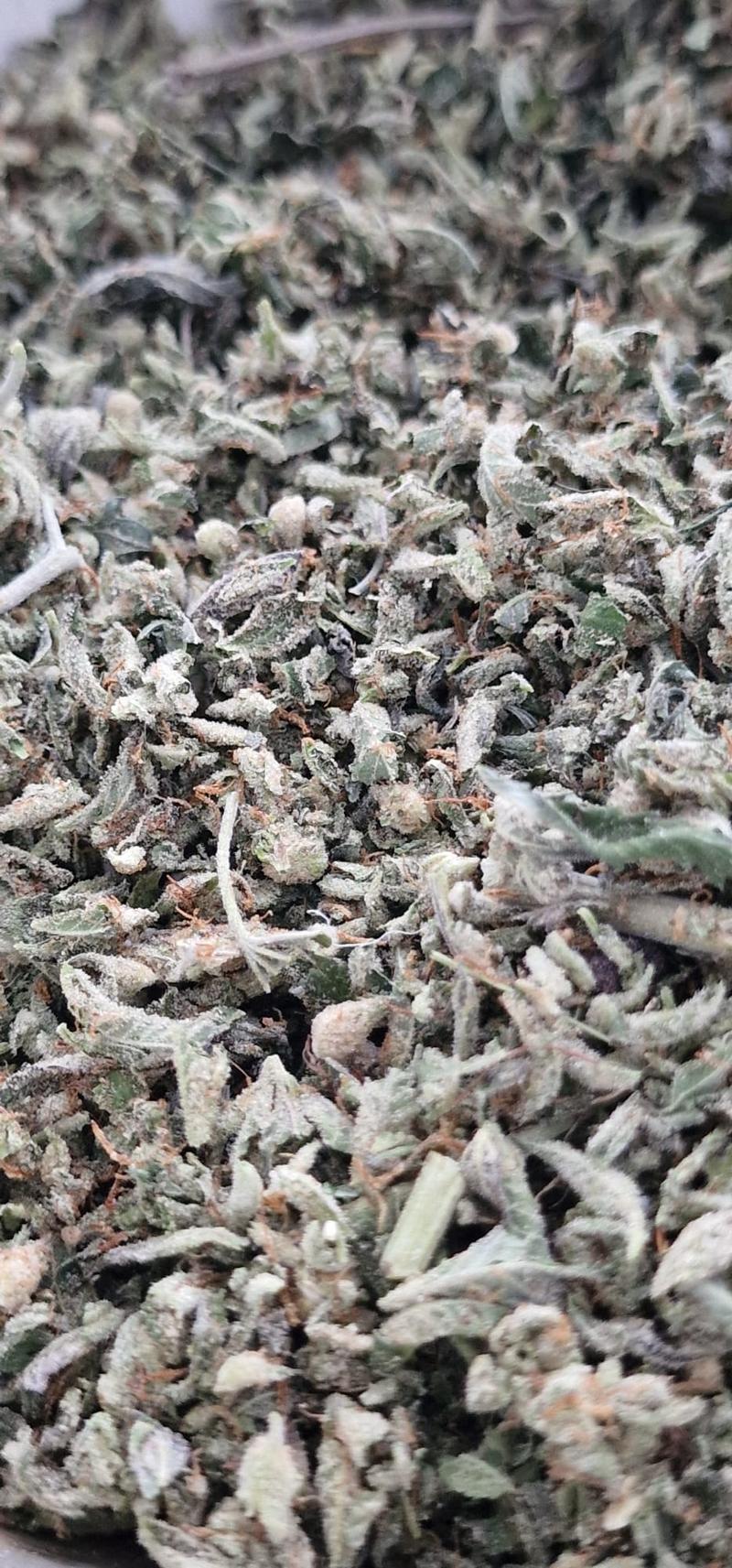 Super High Quality Resinous Gassy StarDawg Shake Potent