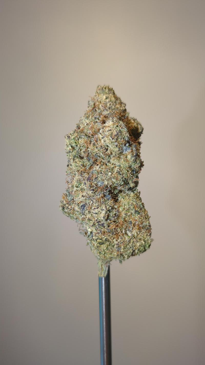 US Mids - Super Mango (Indoor)