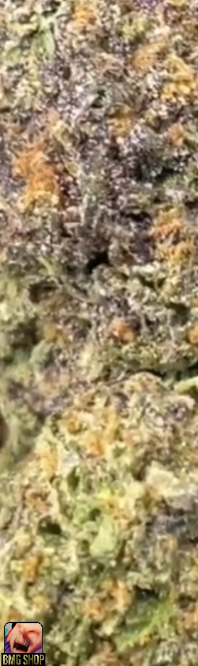 URUS HULK 💚🐂🚀