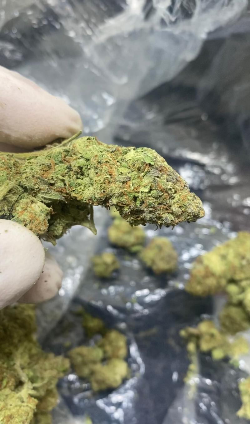 Bolo Runtz Indica (Biscotti X Sherbcake)