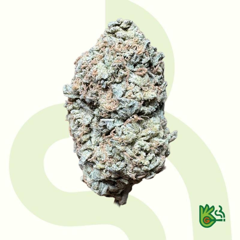 Cookie Dawg *Fress Shipping*