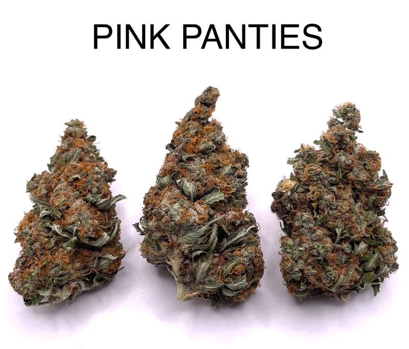 PINK PANTIES