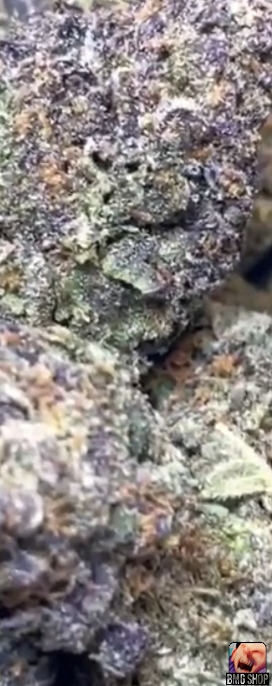 URUS HULK 💚🐂🚀