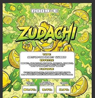 DOOB-E LIVE RESIN 1G THC VAPE **FREE SHIPPING**