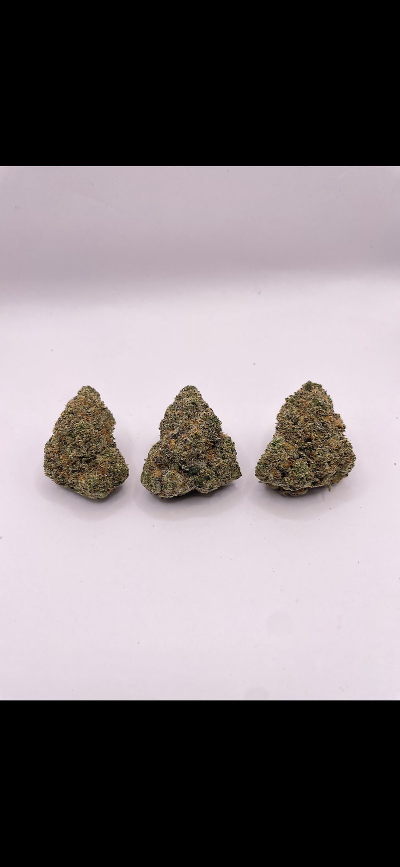 HIDDEN ALIEN - GAS