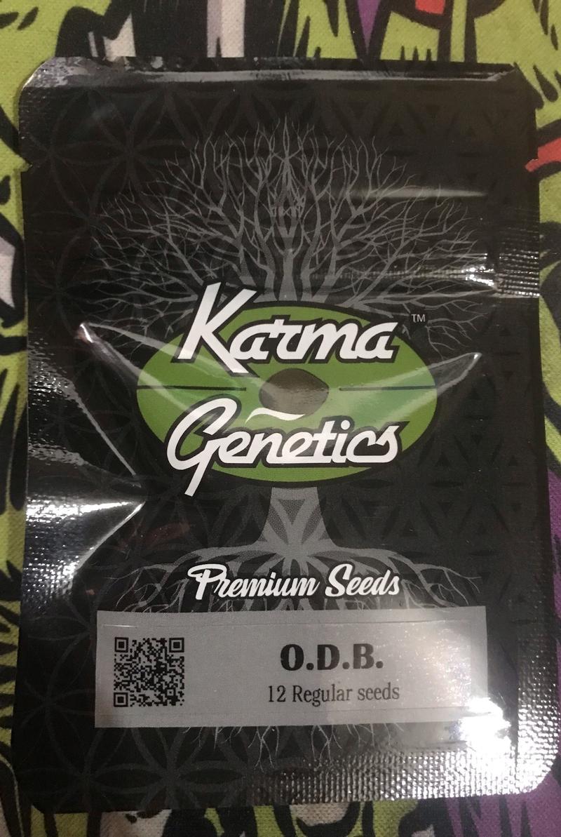 Karma Genetics