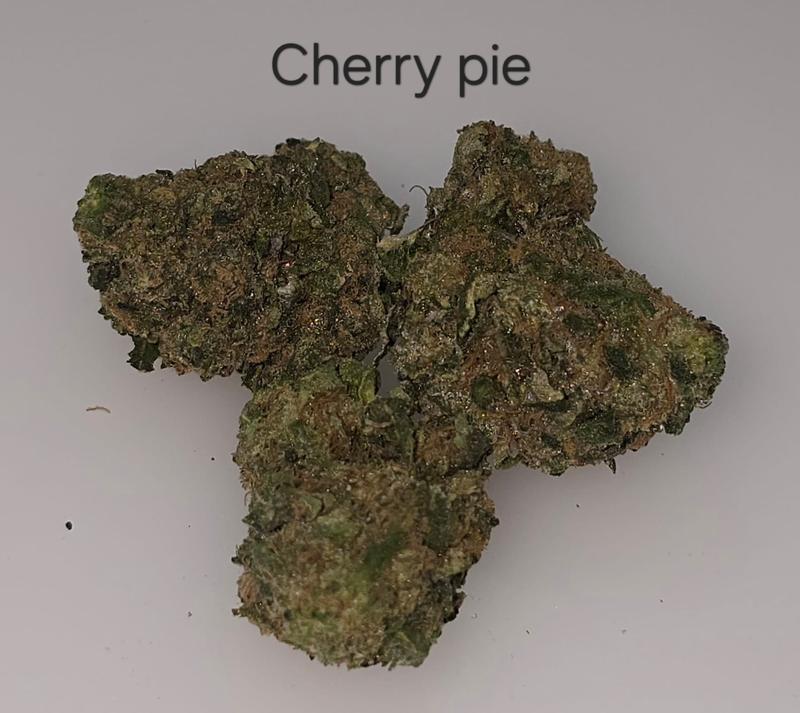 Make an oz for £160! ( Free T24 )