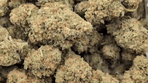 Capital Steez Fruity Pebbles