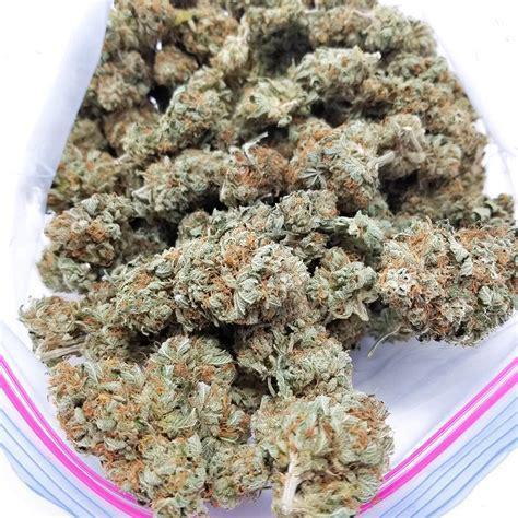 10g Super Lemon Haze FIRE WEED + HOMEGROWN - PGR FREE