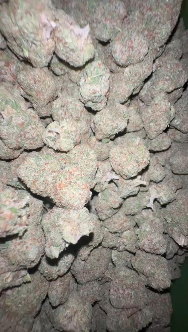 LEMON POPPERS - CALI