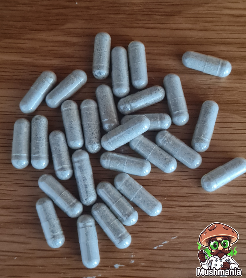 Magic Mushroom Microdose Capsules