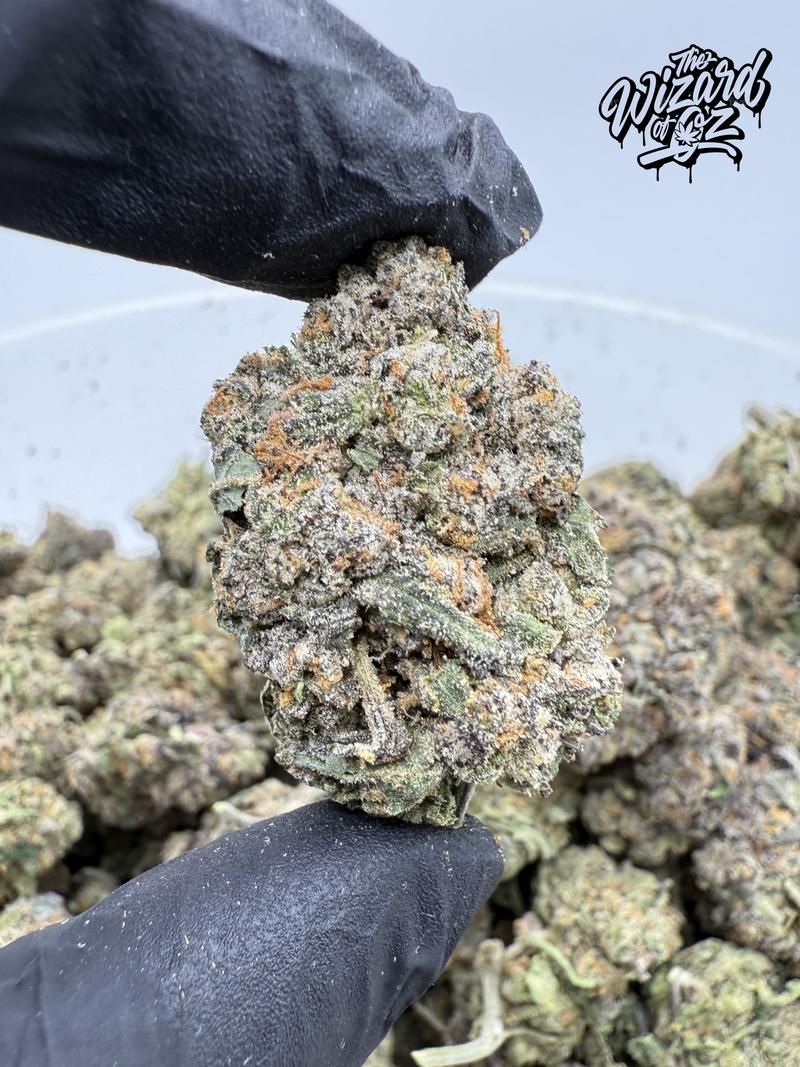Wizard Trees Strain: Gas Gimlet