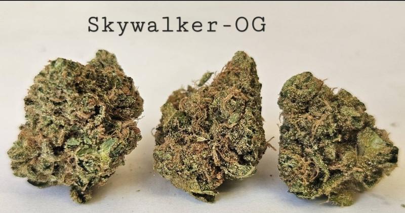 Make an oz for £160! ( Free T24 )