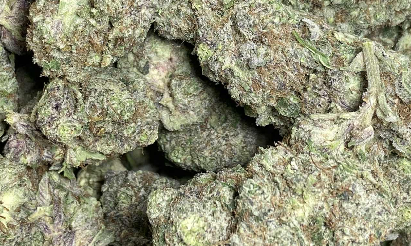 TOP SHELF CALI  (US Import)