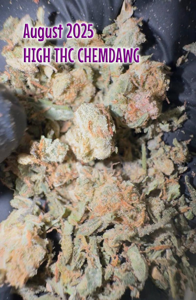High Grade Skywalker OG Shake