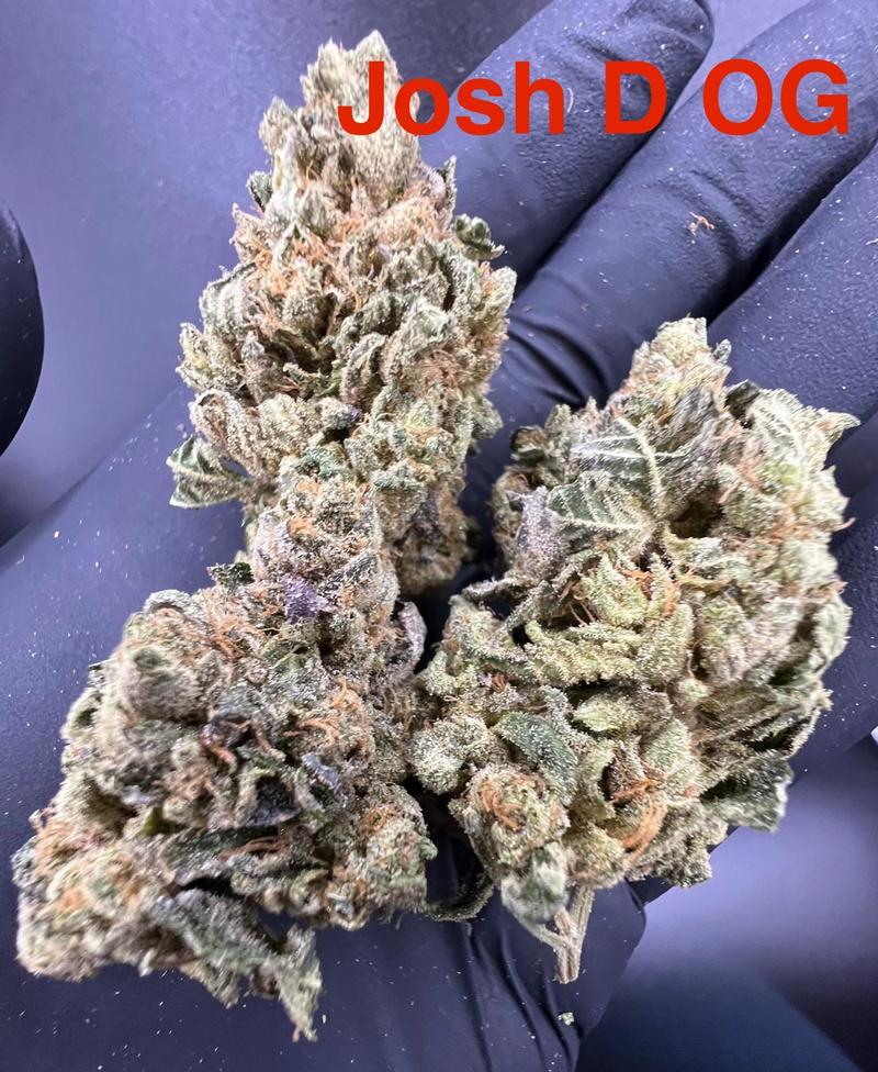 UK Flower 🇬🇧🇬🇧