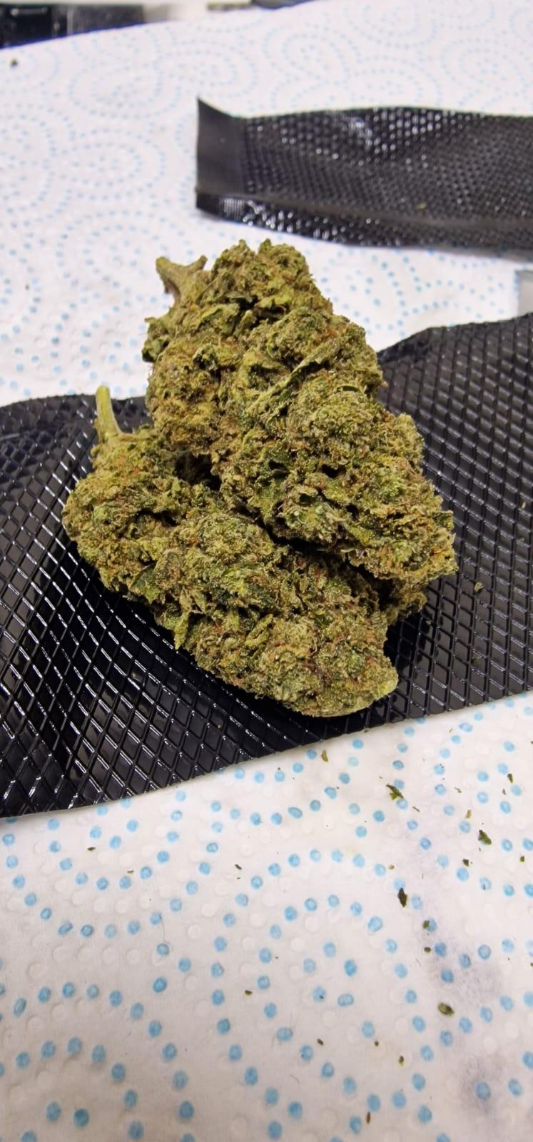 Mendo Breath - Cakey and cookie smell - Dapper Dank
