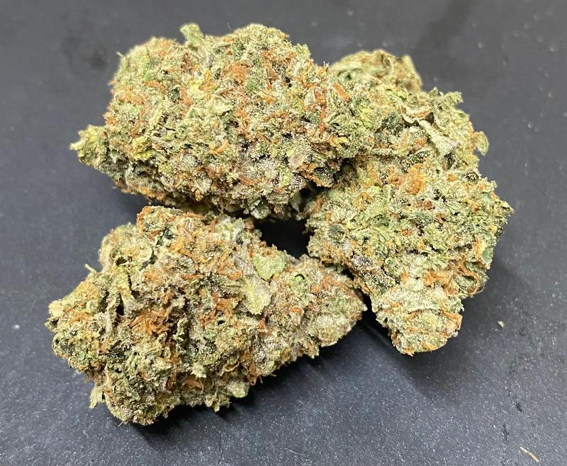 Britscotti - Boutique UK Grown - Top Shelf Hydroponics