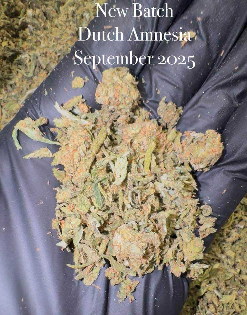 Super High THC 𝘾𝙇𝙀𝘼𝙉 Shake